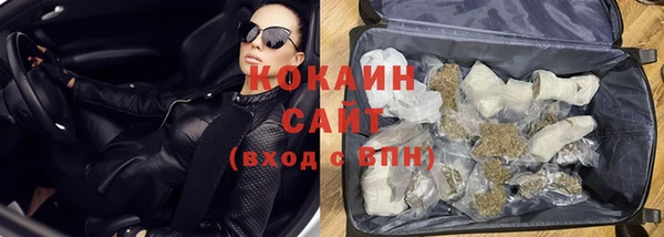 стафф Аркадак