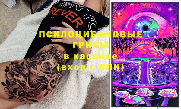 стафф Аркадак