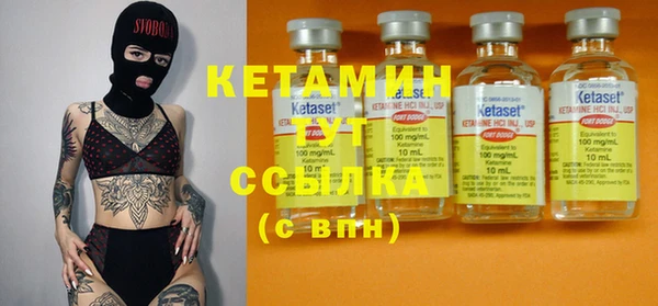 стафф Аркадак